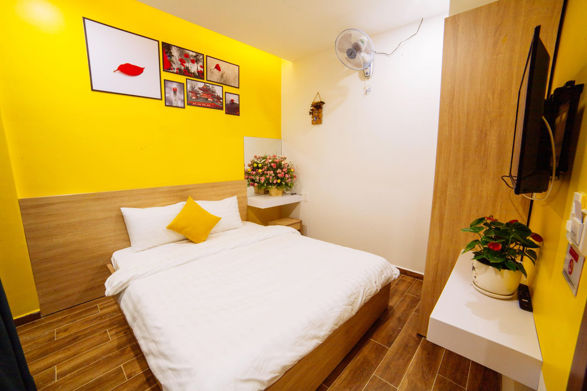 Nông trại cún Puppy Farm – Xứ sở cho người yêu cún ở Đà Lạt 29 my house 2 đà lạt