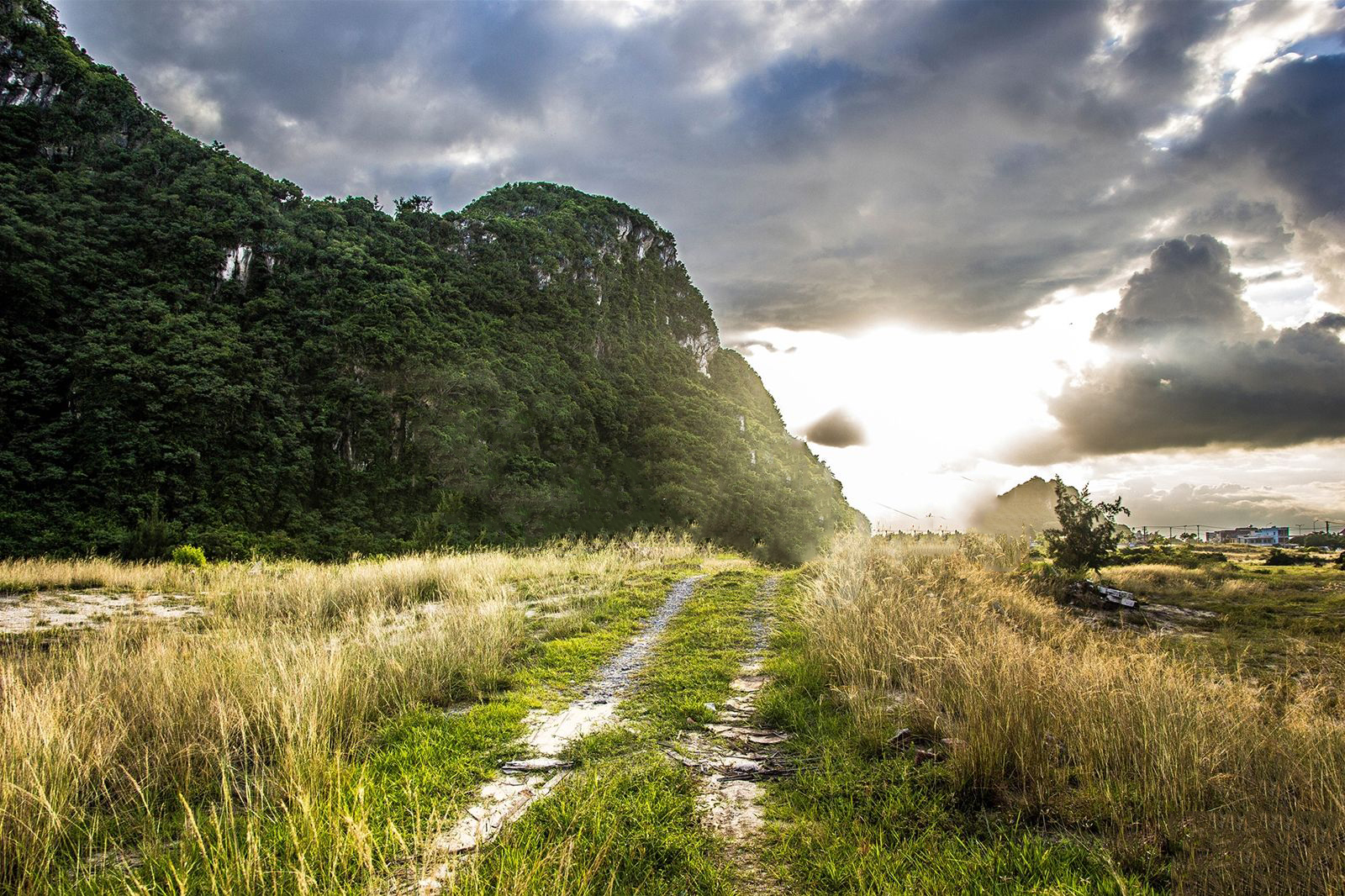 bãi cỏ cháy đà nẵng