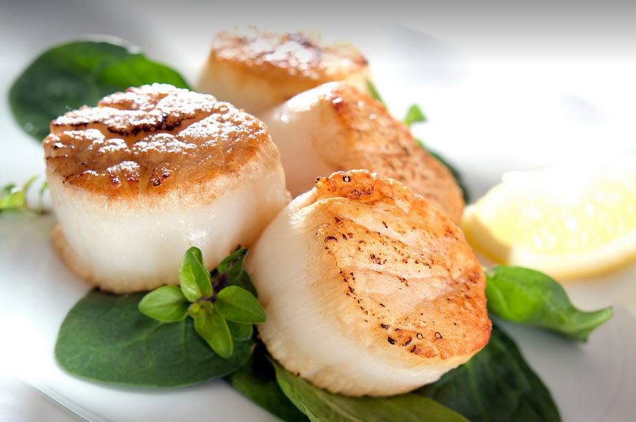 còi sò điệp cù lao câu