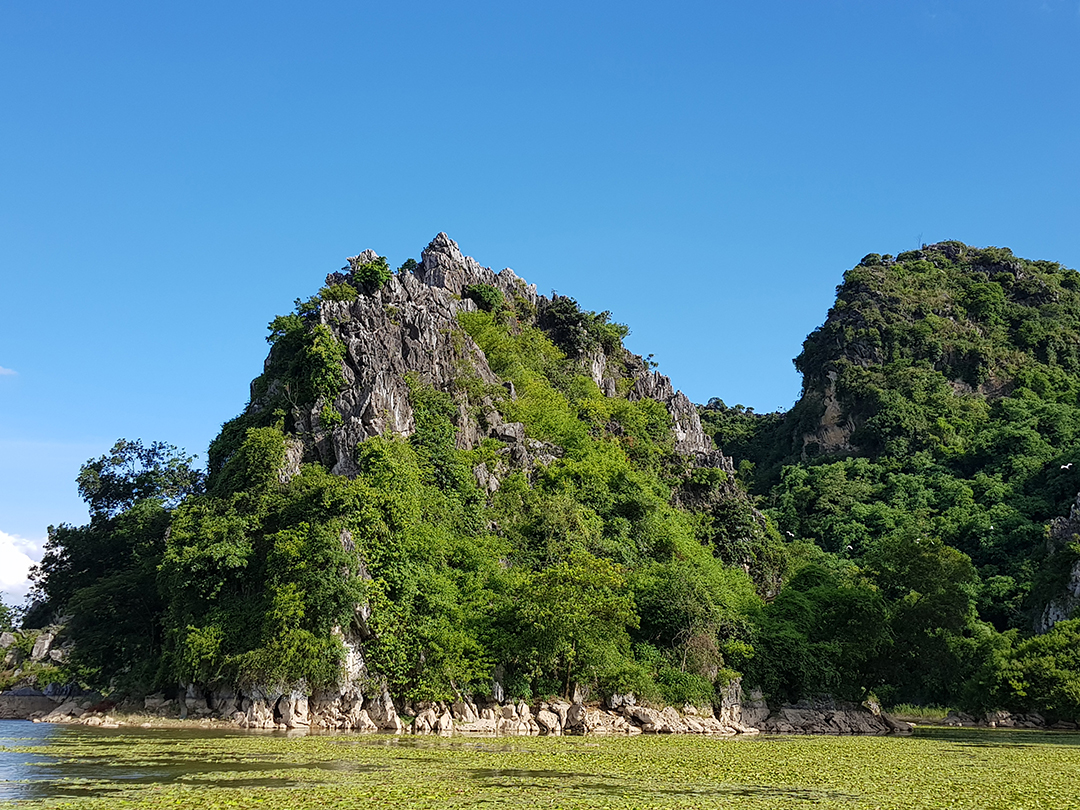 hồ quan sơn mùa sen