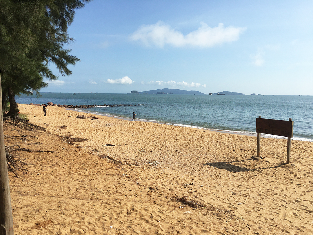 bãi biển đẹp bãi đông thanh hóa