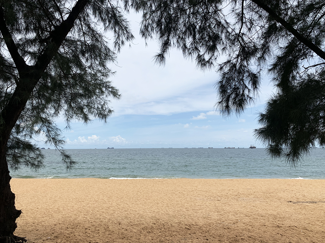 không gian yên tĩnh bãi đông thanh hóa