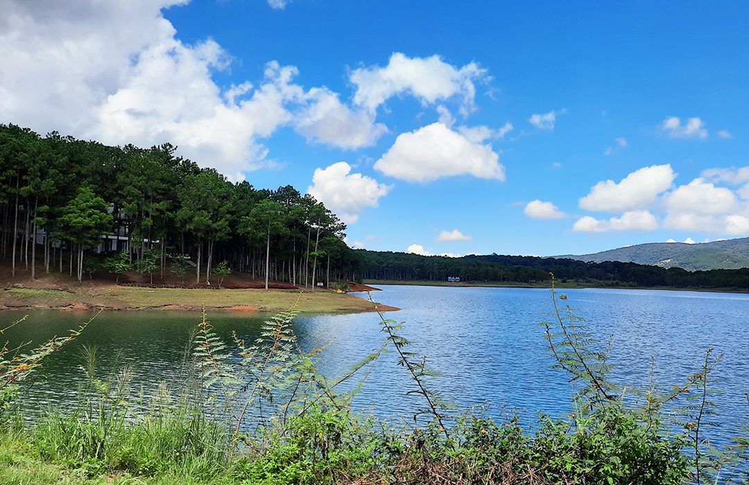 cắm trại qua đ&ecirc;m ở đ&agrave; lạt