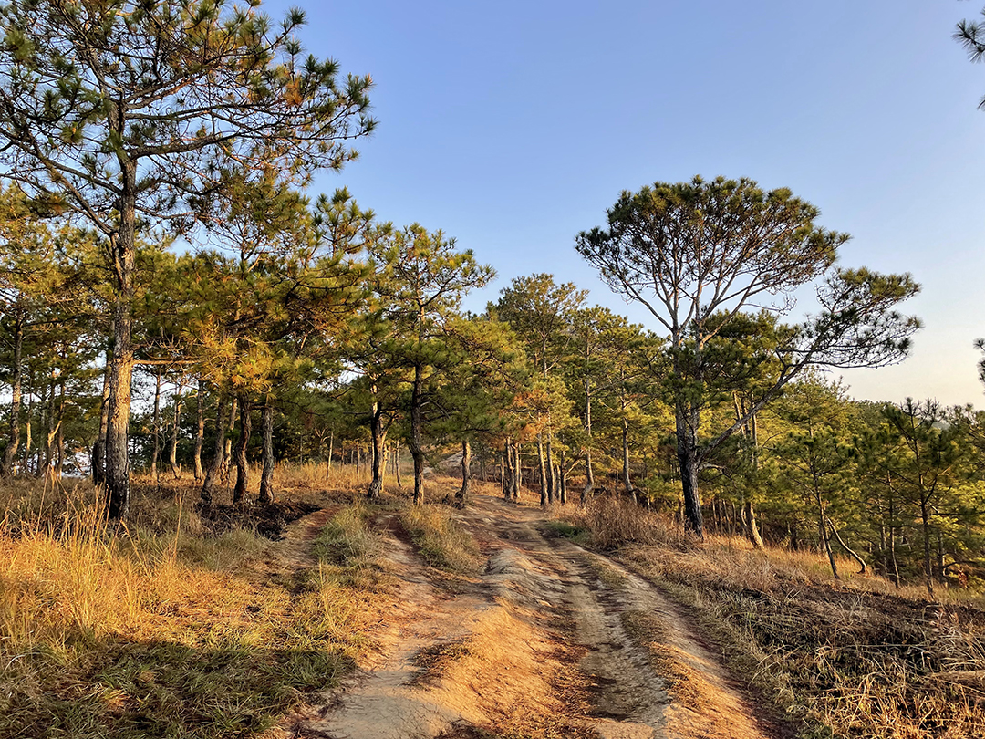 cắm trại ở n&uacute;i h&ograve;n bồ đ&agrave; lạt