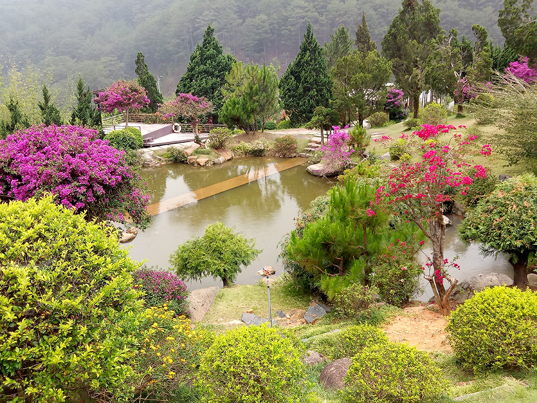 vườn hoa nhiệt đới que garden