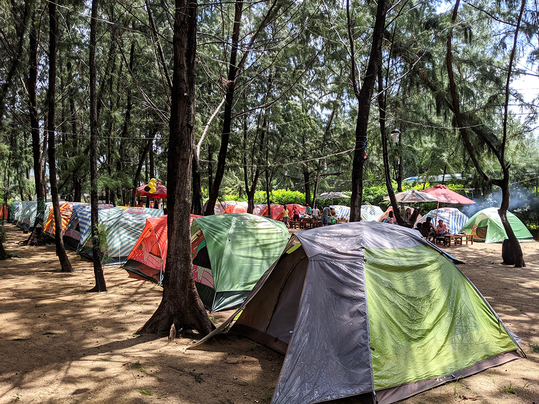 zenna pool camp vũng tàu