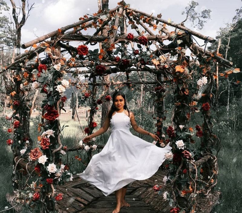 ngôi nhà hoa secret garden