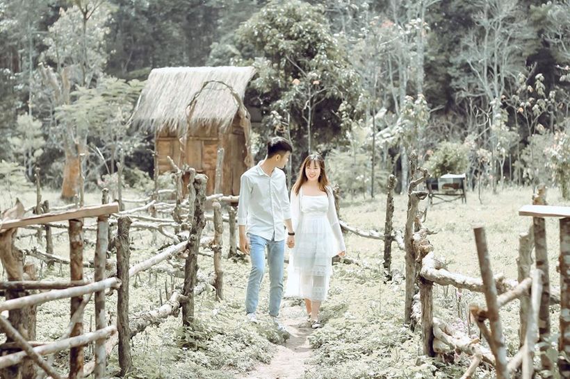 nông trại cừu secret garden