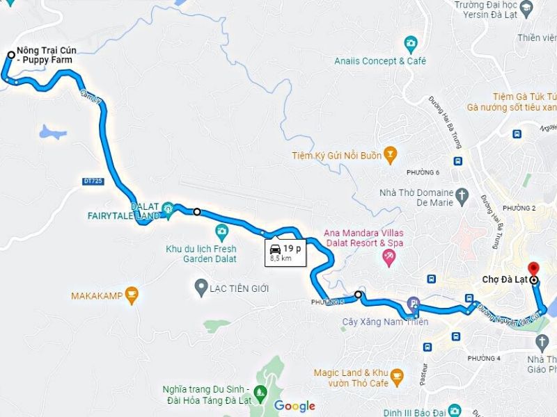 puppy farm đà lạt