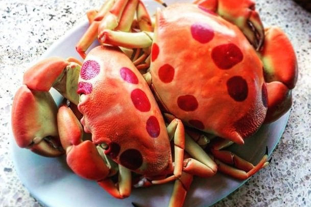 đi đảo phú quý