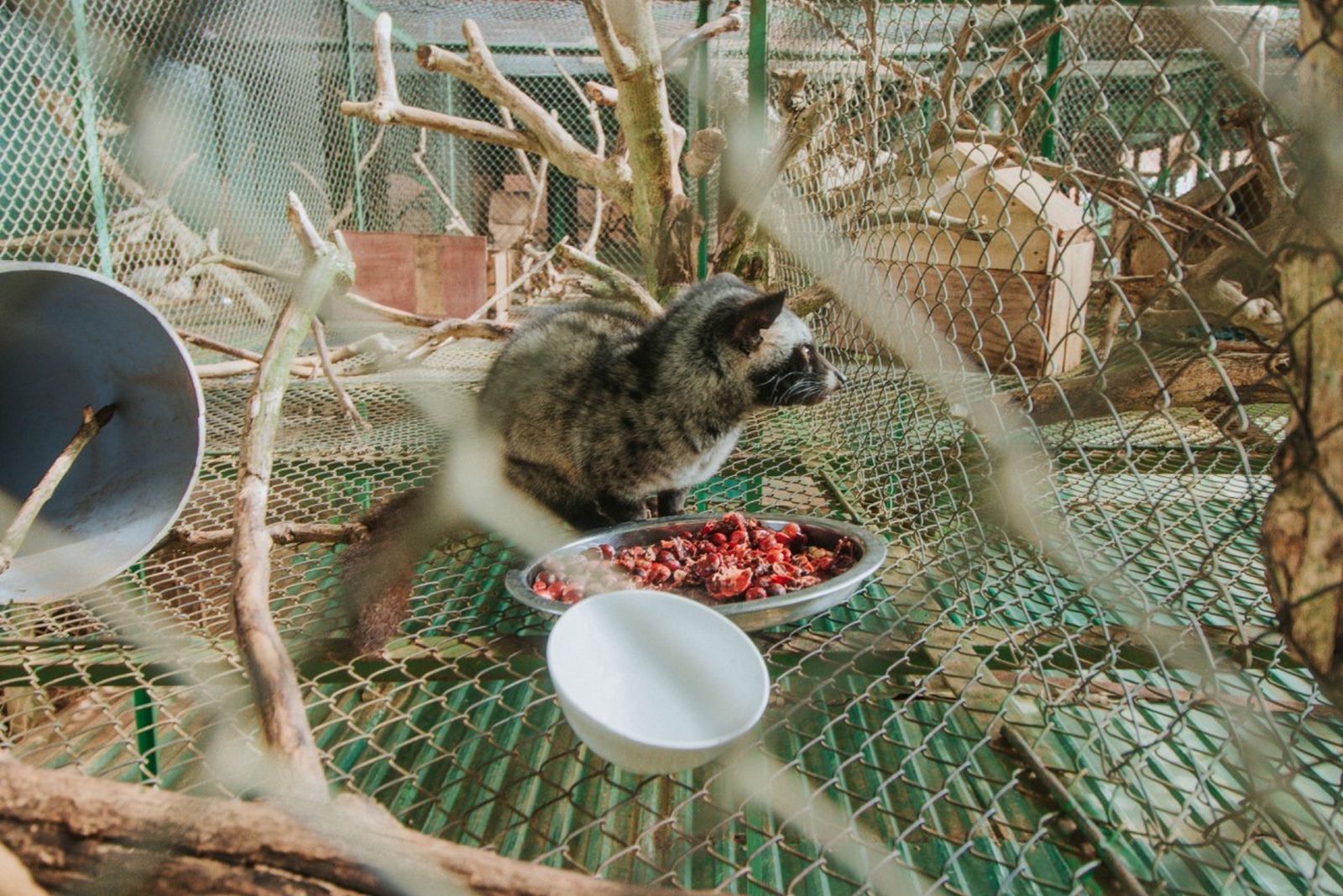 mê linh coffee đà lạt