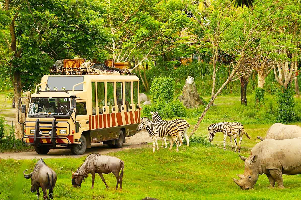 có nên đi safari phú quốc