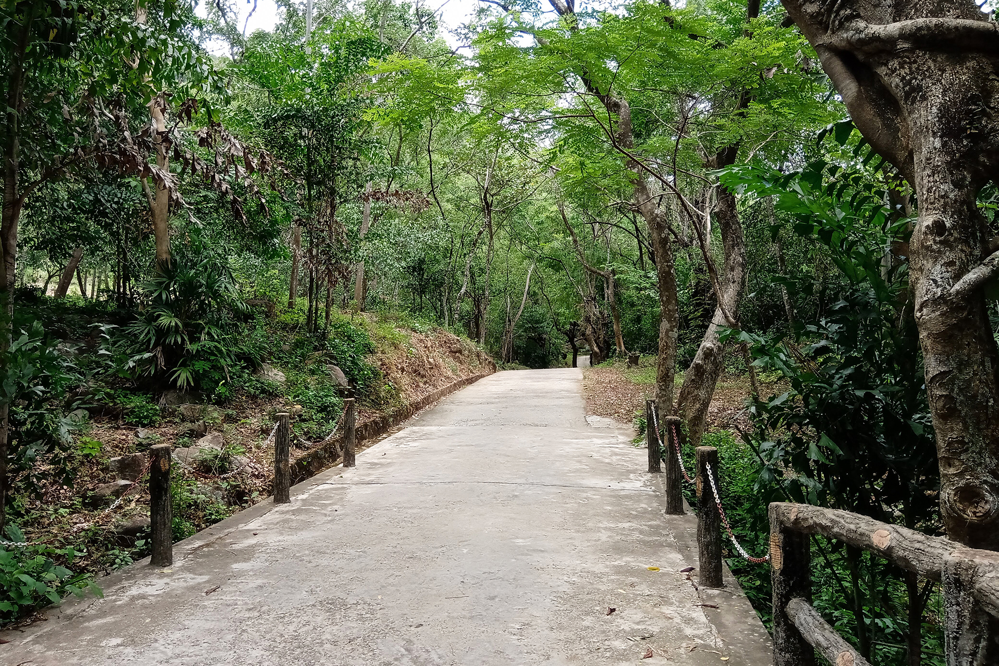 hầm hô bình định