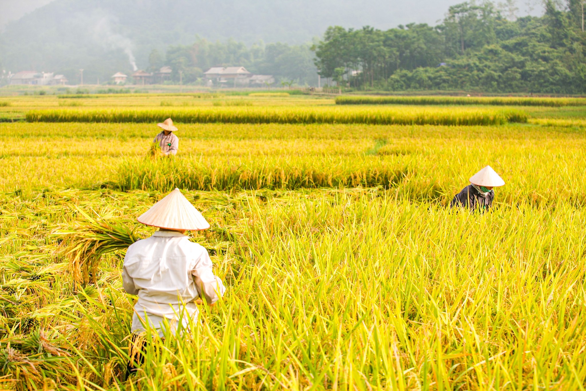 kinh nghiệm đi mai châu ecolodge