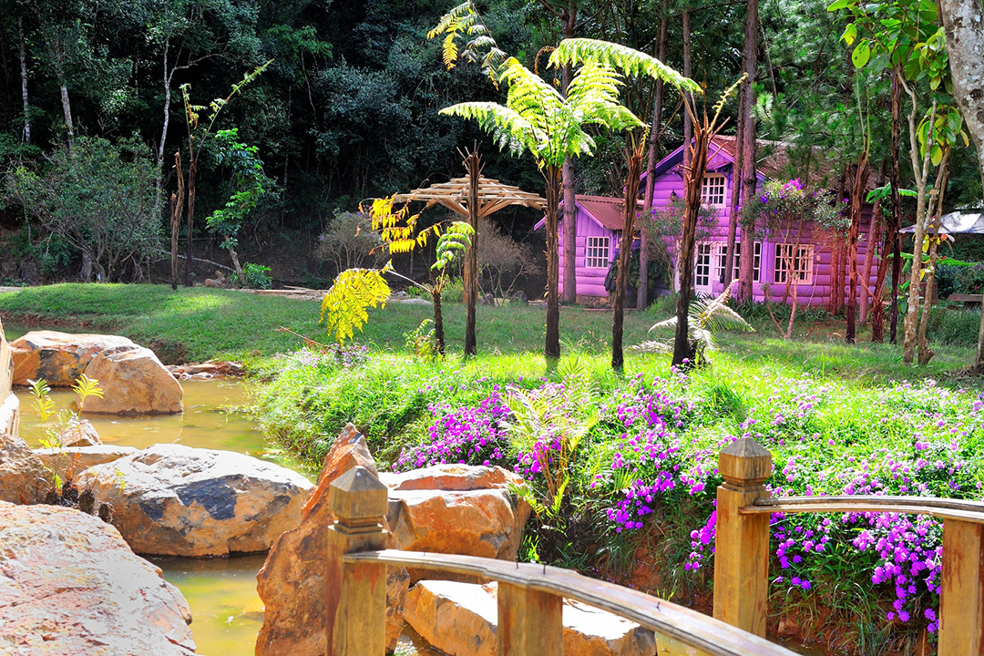 lữ quán ma rừng