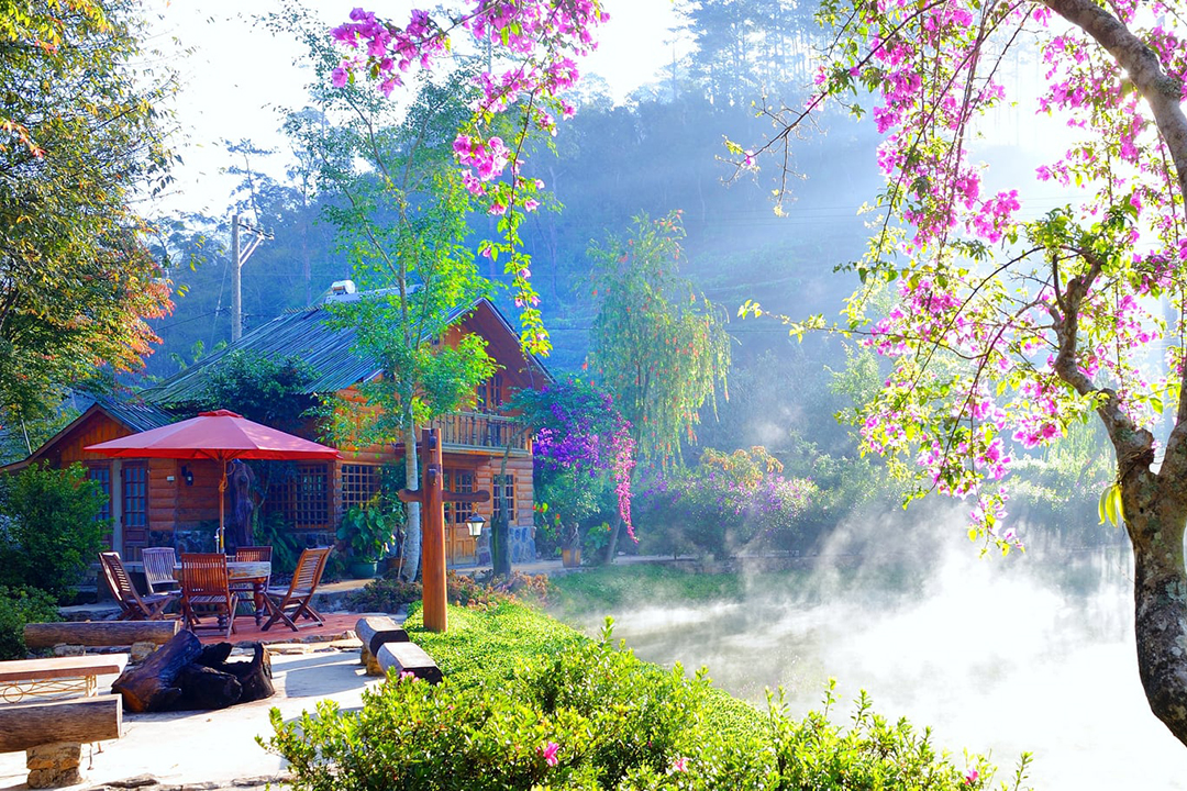 ma rung lu quan dalat