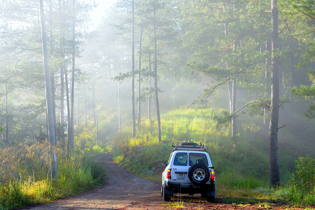 ma rừng lữ quán địa chỉ