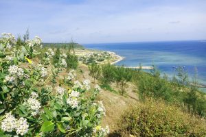 du lịch đảo l&yacute; sơn