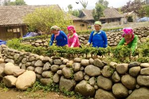 Bản Gia Kh&acirc;u 1