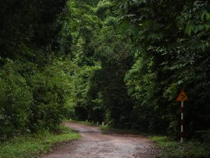 hệ sinh thái vườn quốc gia phú quốc