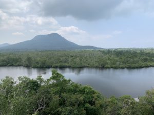 rừng quốc gia phú quốc