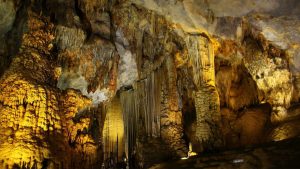 hang dơi ở suối tranh phú quốc