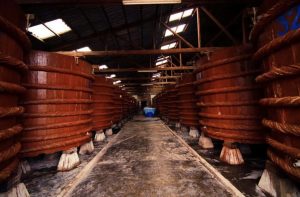 nhà thùng nước mắm thịnh phát