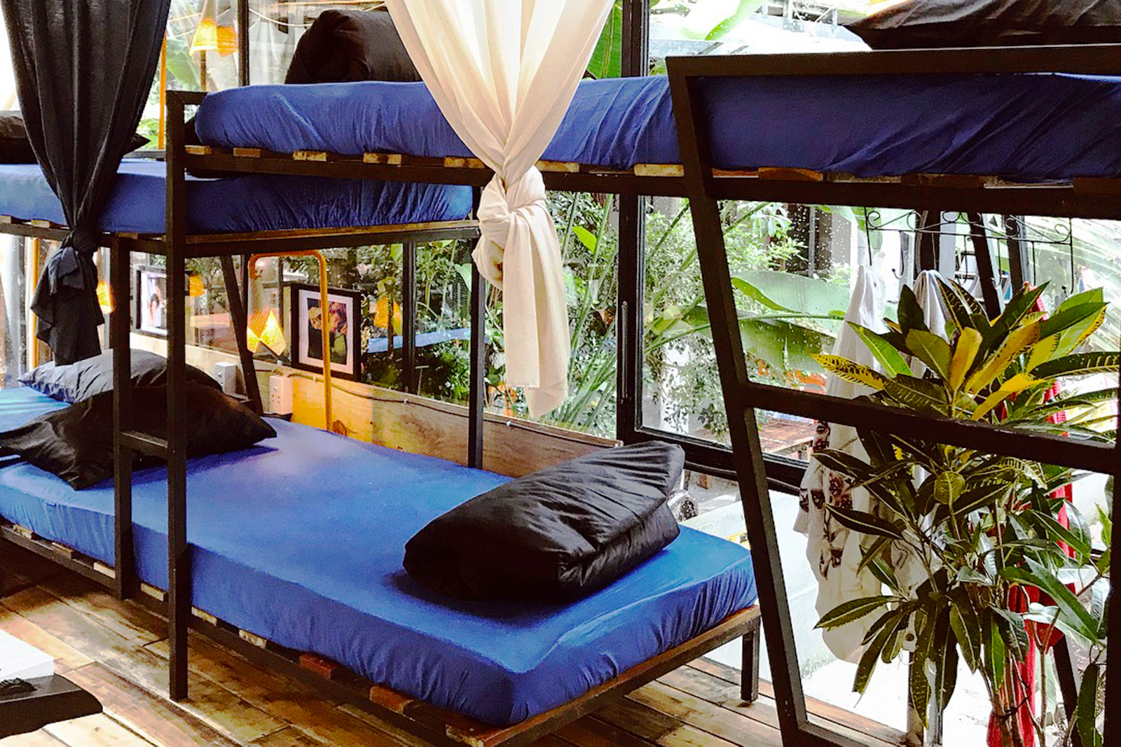 the fish có phòng dorm
